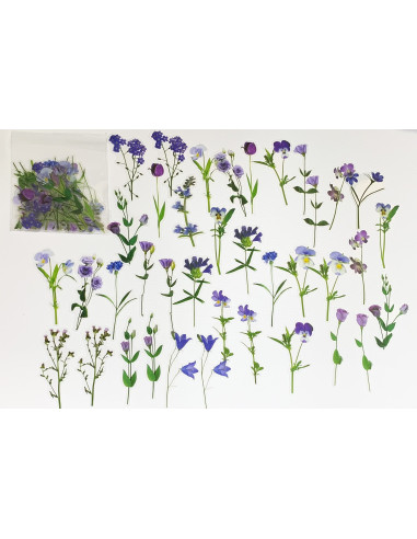 Fiori stampati su lucido - Violette e fiori viola