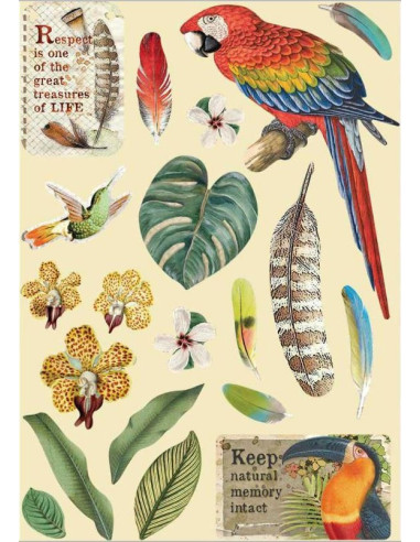 Wooden frame - A5 - Amazonia pappagallo - 21 cm x 14,8 cm