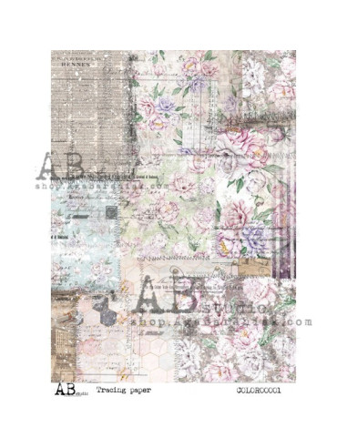 Carta Vellum  Colorata 00001- Formato A4 - 21,0 cm x 29,7 cm